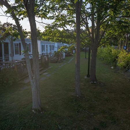 Natur Camping Landshause Burinhosa Kültér fotó